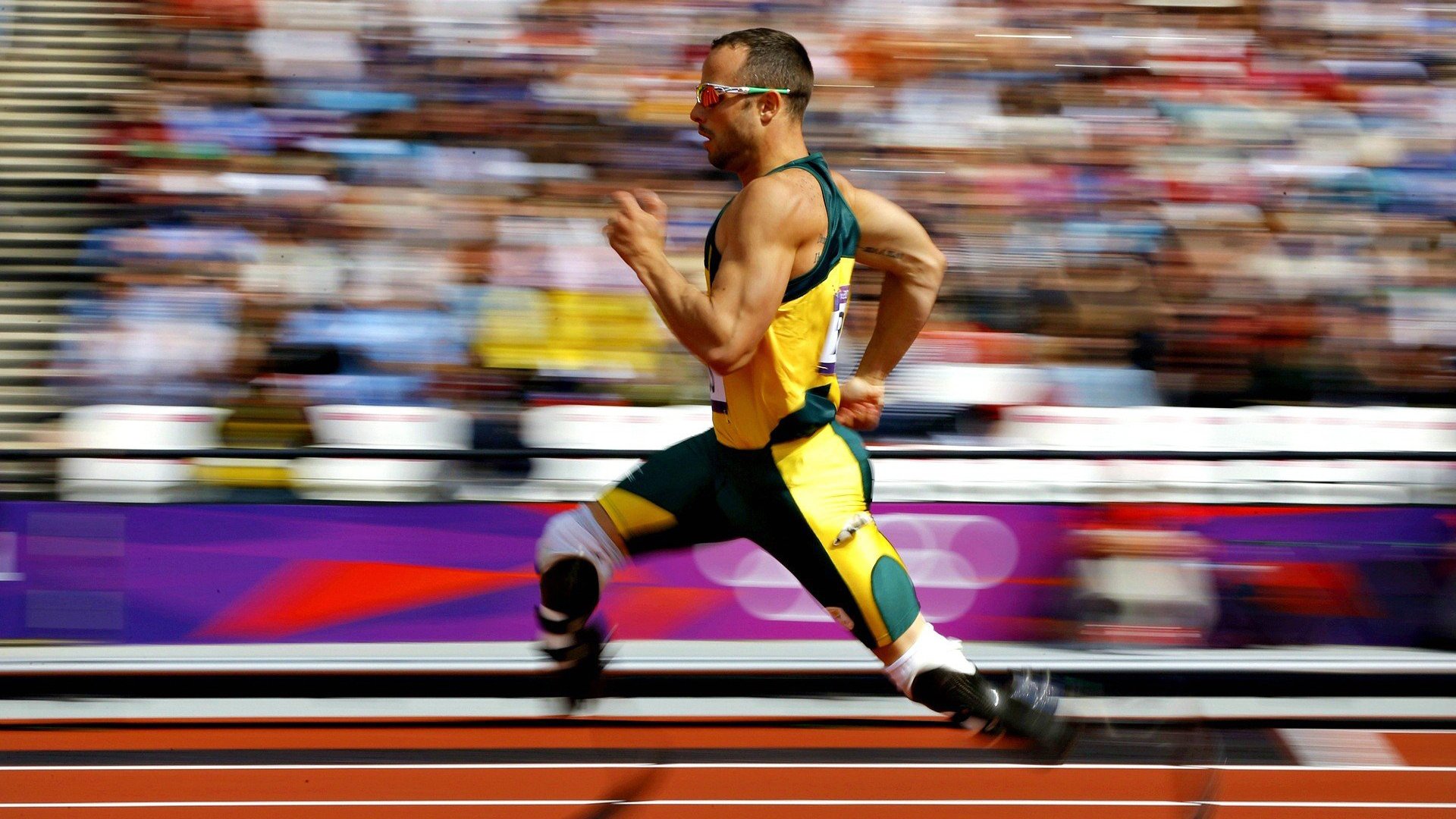 TES前途光明!,浓眉哥新星败北表现突出观众掌声雷动